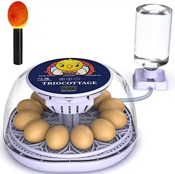Инкубатор для инкубации 12 яиц с автоматическим переворачиванием яиц и автоматическим добавлением воды с яичной свечой для куриных и перепелиных яиц