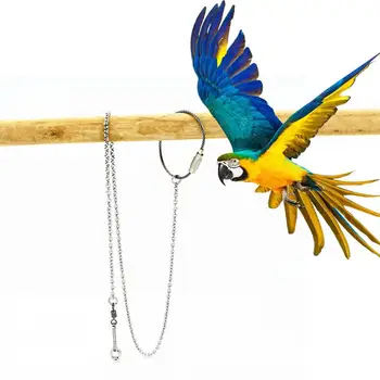 Цепочка для ног Bird Parrot из нержавеющей стали с кольцом для ног на лодыжке и подставкой для аксессуаров для птиц для тренировок на открытом воздухе SMLXL