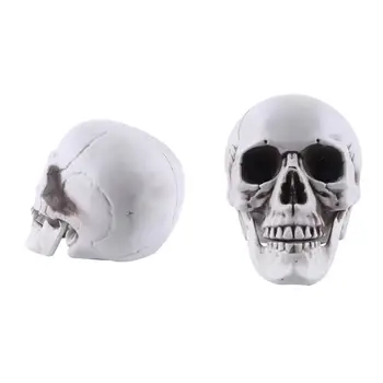 Украшение черепа на Хэллоуин, реалистичная модель человеческого черепа в натуральную величину для декора Хэллоуина, модель скелета на открытом воздухе, модель кости головы скелета на кладбище