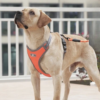 Жилет-поводок для собак средних размеров Золотистый ретривер щенок Лабрадора нагрудный ремень собачий поводок звуковая игрушка для собачьей цепи